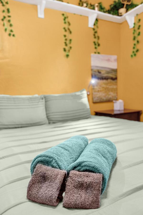 Orlando Oasis! Free Laundry & Parking Near Disney! Dış mekan fotoğraf